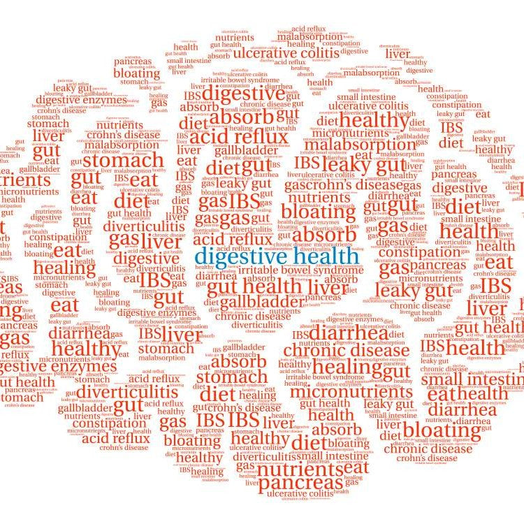 digestive health word map