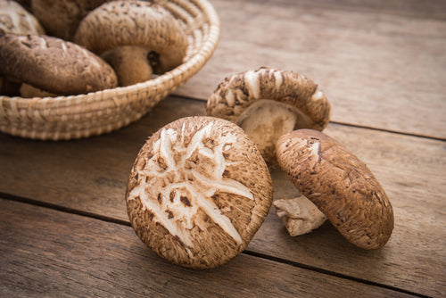 Medicinal Mushrooms - The Natural Way to Boost Your Immune System