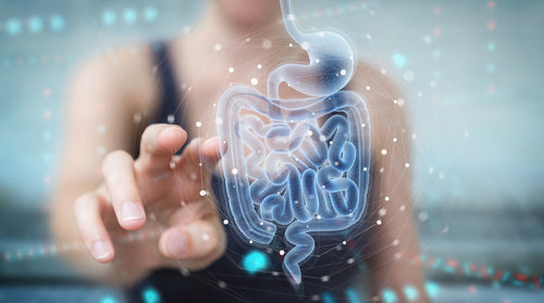 The Hidden Universe Within: Exploring the Gut Microbiome and its Power over Your Health