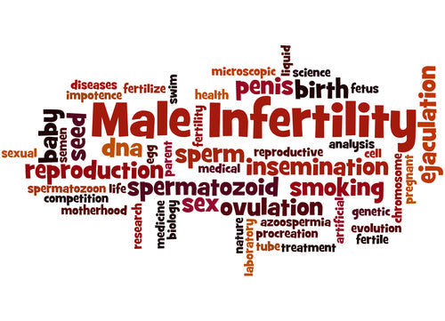 word board male infertility
