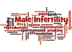 Solving the Sperm Crisis: A Nutritional Approach for Male Fertility