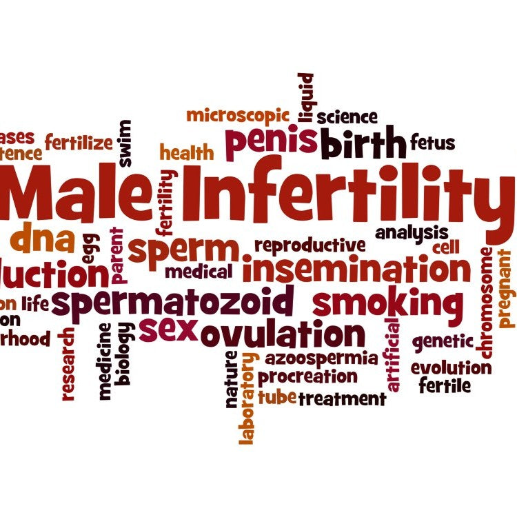 word board male infertility