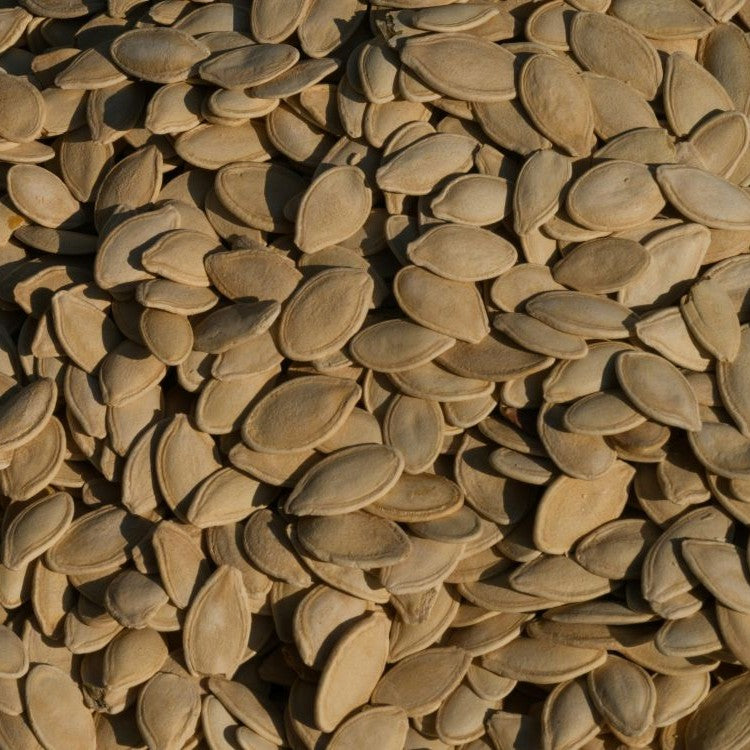 pumpkin seeds