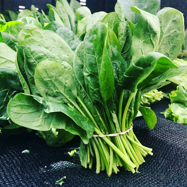 Spinach leaves