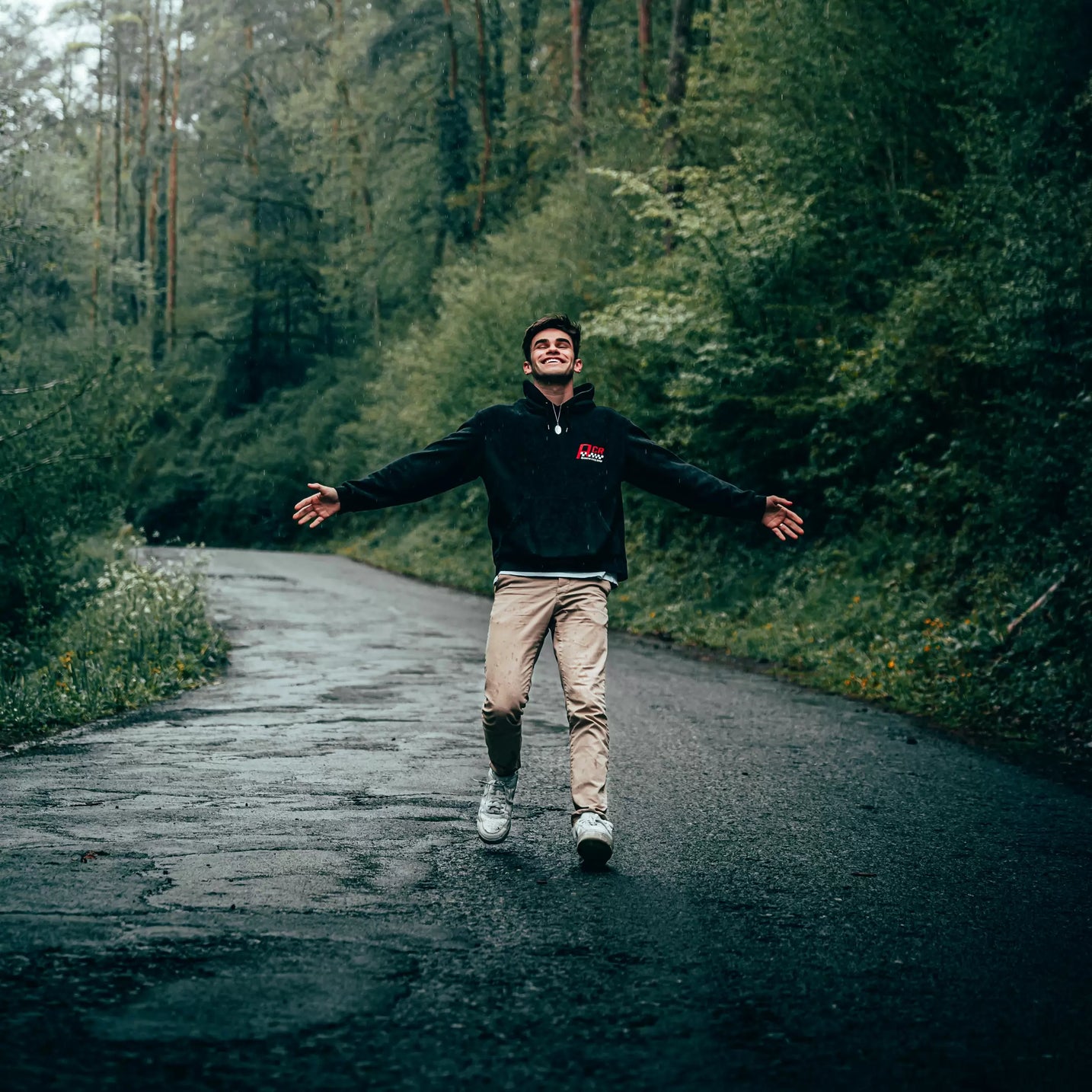 Therapeutic Efficiency of Humic Acids in Intoxications