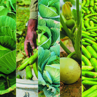10 Easy Ways to Incorporate More Nourishing Greens into Your Diet