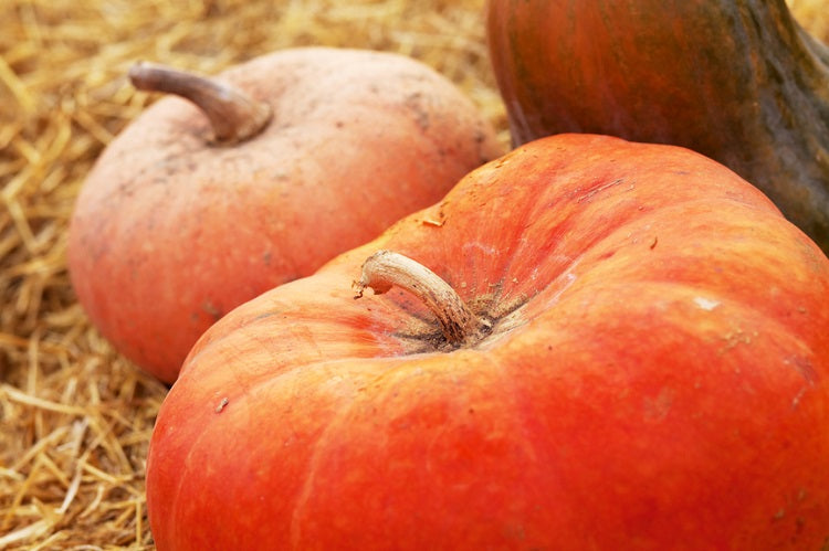 benefits of pumpkin seeds
