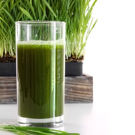 Green drink with alphalpha plant