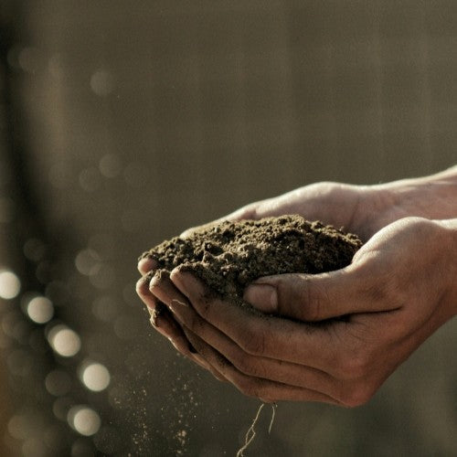 hands holding soil