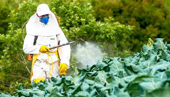 Glyphosate Exposed: Unraveling the Research on its Hazards to Human Well-being