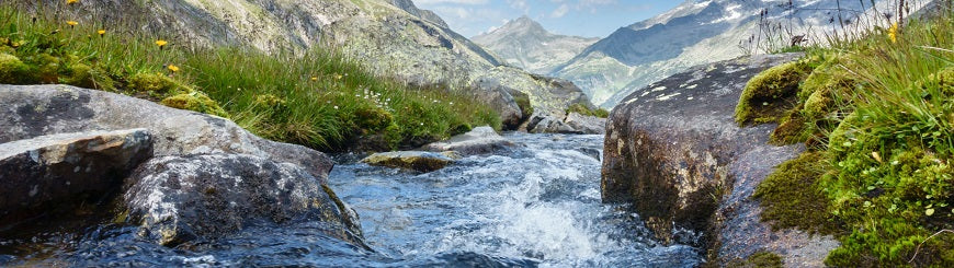 Natural Ionization - The Pathway to Water Vitality