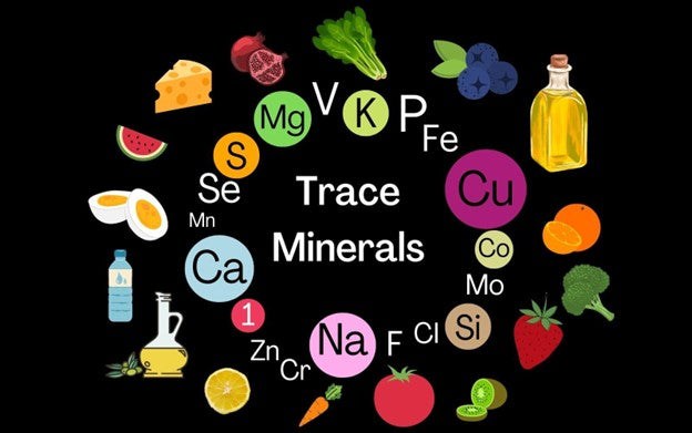 Trace mineral chart