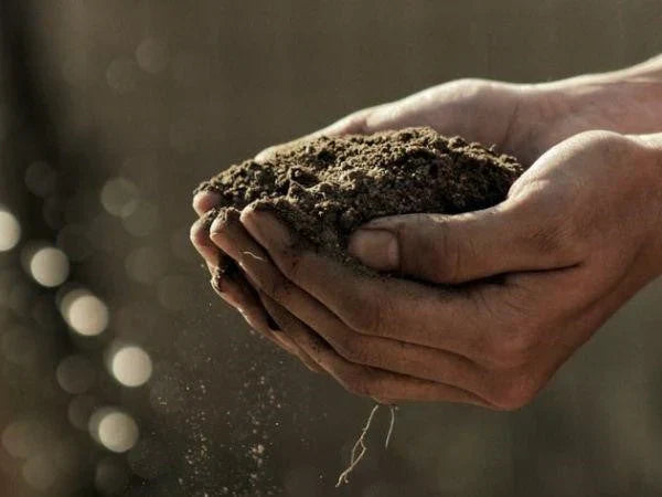The Amazing Benefits Of Fulvic Acid And Why You Need To Get More!