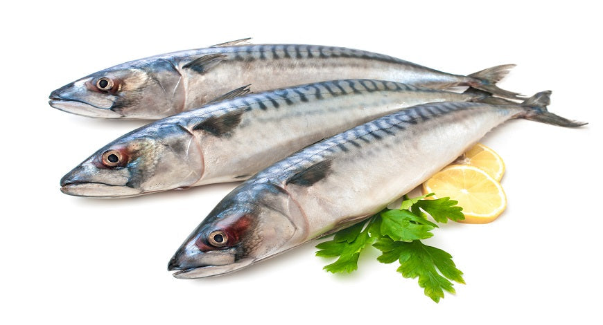 Times in Your Life You May Need More Omega 3