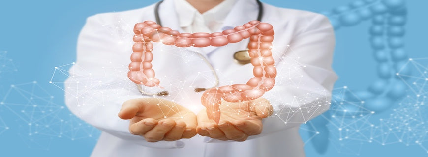 Doctor supports a graphic of a human colon in his hands