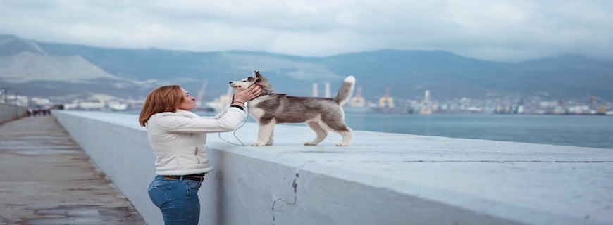 blonde woman petting small huskie dog
