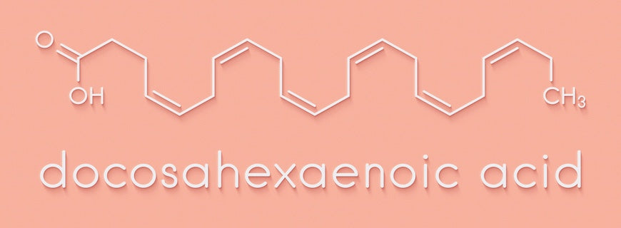 Docosahexaenoic acid (DHA, cervonic acid) molecule.