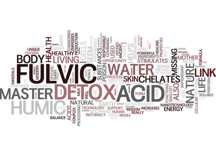 Graphic showing words associated with Fulvic Acid