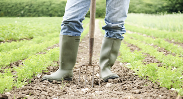 person  in wellingtons holding a garden fork