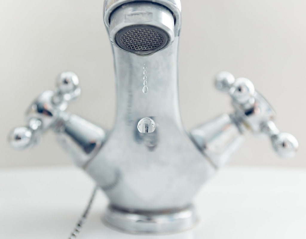 Your Tap Water Contains Molecules That Dinosaurs Drank + Other Interesting Water Facts