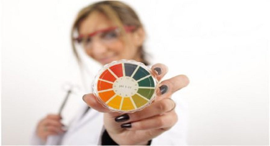 woman holding a circular ph chart