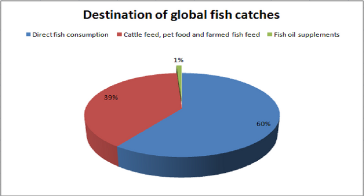 pie chart comparing fish oil capsules