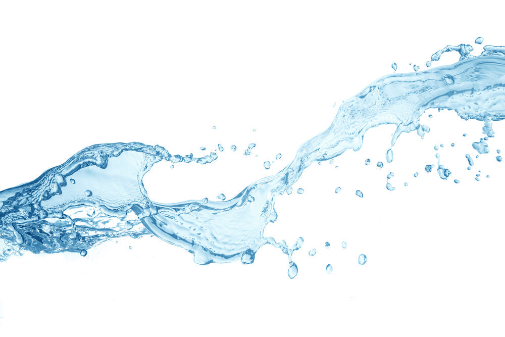 splash of water on white background