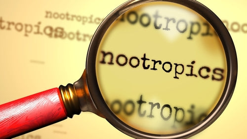 magnifying glass over the word nootropics