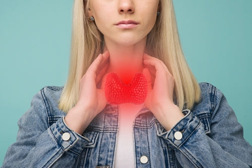 woman with thyroid gland indicated in red