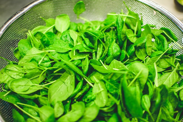 pile of spinach leaves