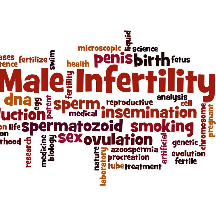 word board male infertility