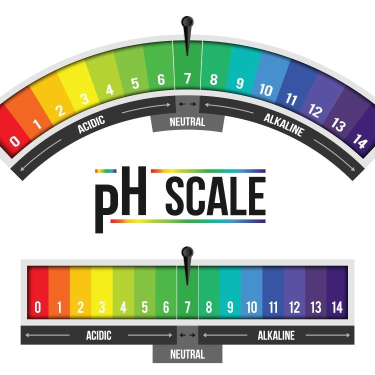 ph balance scale