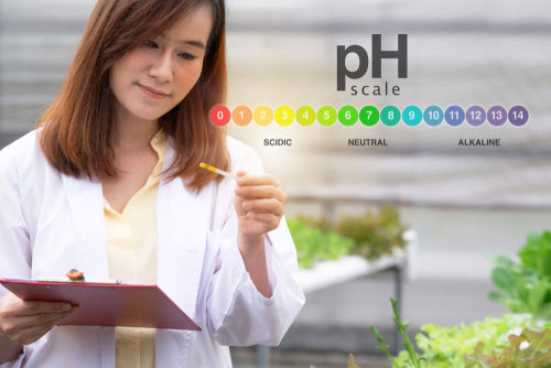 Woman looking at pH yest strip