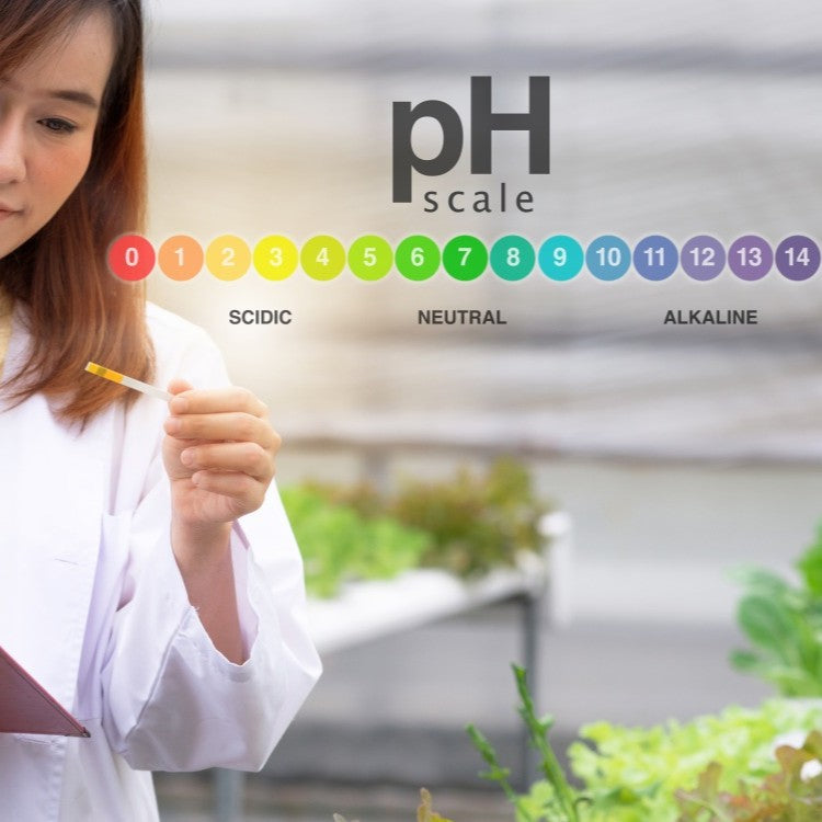 woman with pH test strip 