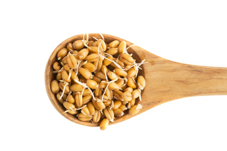 The Superior Alkalinity, Digestibility, and Nutritiousness of Sprouted Grains