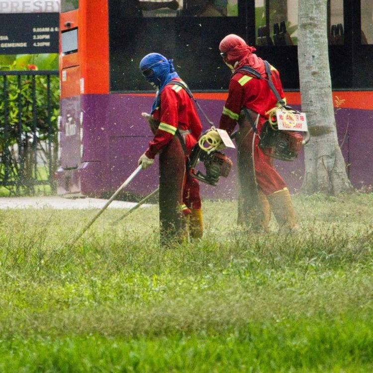 people spraying grass