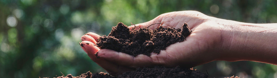 outstretched had holding soil