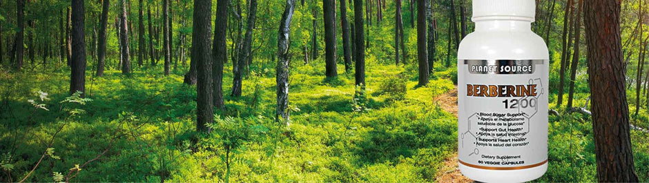 bottle of Berberine against background of a forest